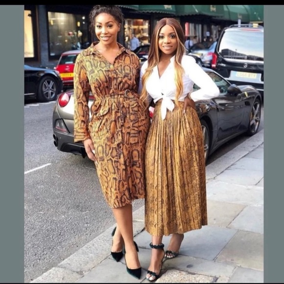 Zara snakeskin print pleated skirt - Picture 10 of 10